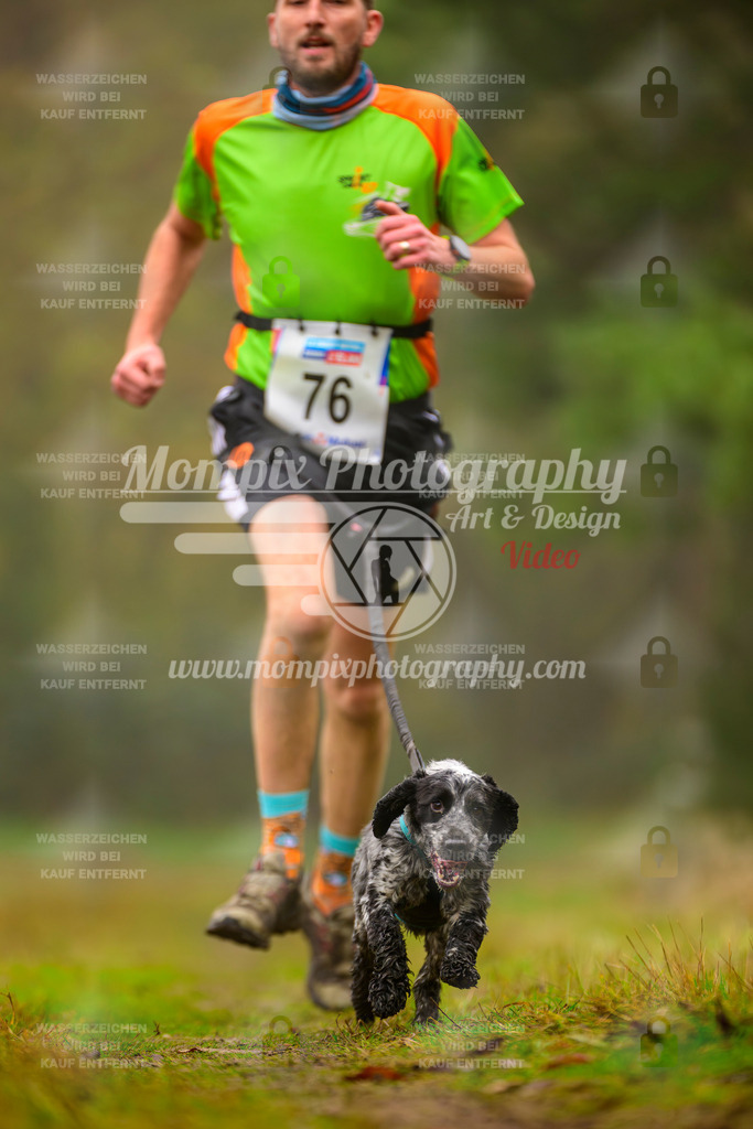 MompixPhotography_Bischwiller2025_Canicross-113 | mompixphotography