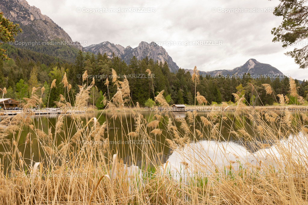 Völser Weiher | medienkrizzler - Realisiert mit Pictrs.com