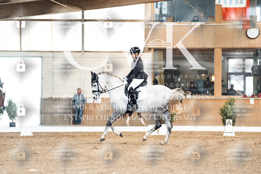 CK900878 | Turnierfotografie Pferdefotografie Trier Rheinland-Pfalz Pferdesport Reitsport Tierfotografie Sportfotografie Pferdevideo Pferdevideografie Equestrianvideography equestrianphotography  - Realisiert mit Pictrs.com