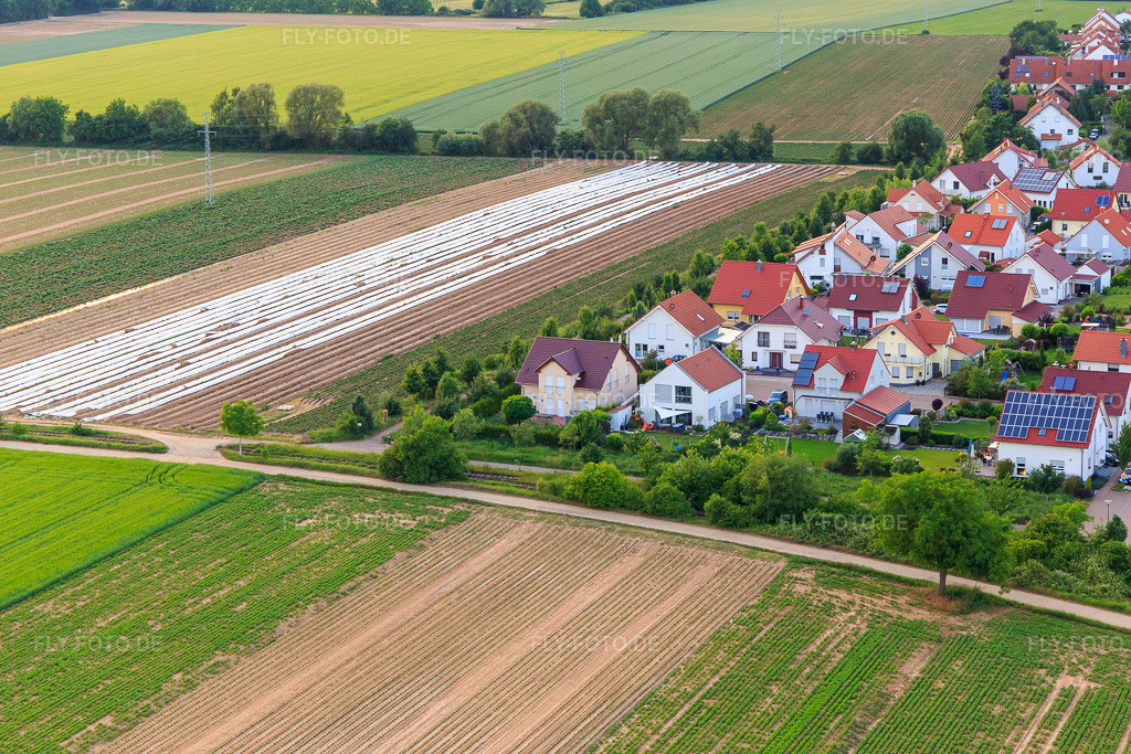 Luftbild: Unteres Rappenfeld im Ortsteil Mörlheim in Landau im Bundesland Rheinland-Pfalz in Deutschland. Foto: IMG_100596.jpg vom 01.06.2017 durch Werner Riehm/FLY-FOTO.de