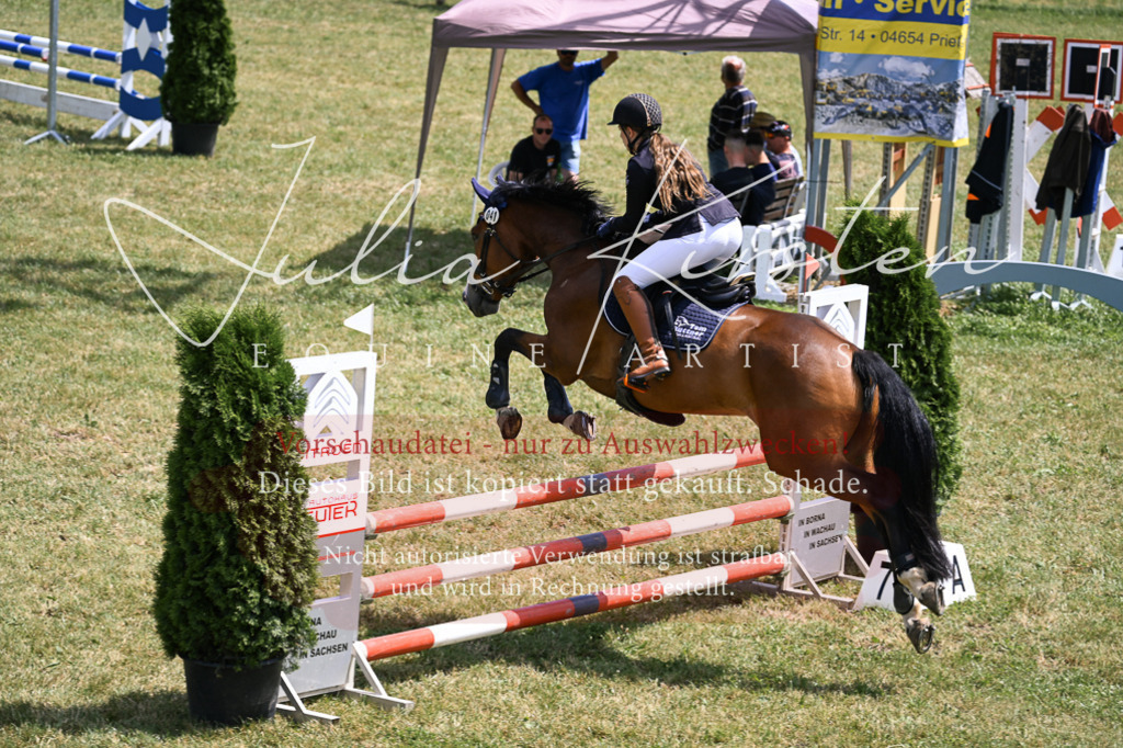 DSC_9539 | Pferde- und Turnierfotografie in Westsachsen. Pferdeportraits, Auftragszeichnungen und intuitive Kunst.