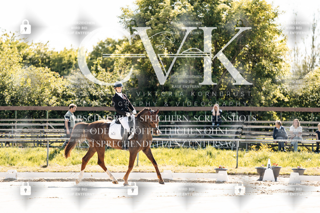 CK909040 | Turnierfotografie Pferdefotografie Trier Rheinland-Pfalz Pferdesport Reitsport Tierfotografie Sportfotografie Pferdevideo Pferdevideografie Equestrianvideography equestrianphotography  - Realisiert mit Pictrs.com