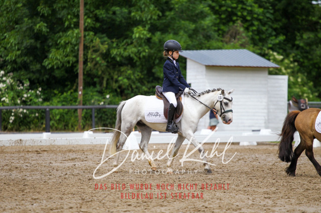 DKP47503 | Turnierfotos kaufen im Webshop von Daniel Kuhl Photography – entdecke professionelle Reitsportfotos aus Turnieren & Events. Hochwertige Turnierbilder online bestellen & sichern. Jetzt Fotos von Reitsportturnieren kaufen!