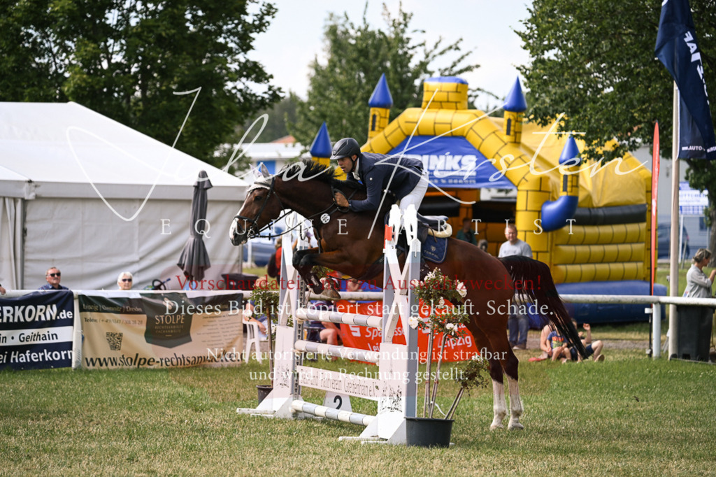 DSC_0770 | Pferde- und Turnierfotografie in Westsachsen. Pferdeportraits, Auftragszeichnungen und intuitive Kunst.