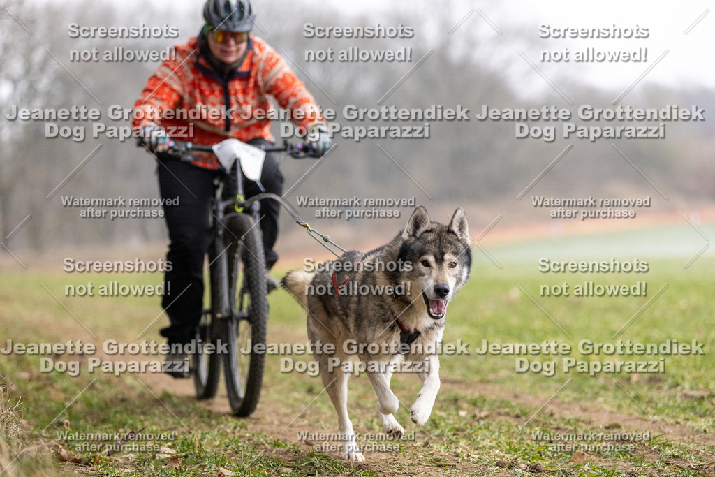 Dog Paparazzi - Plate 2026-16 | Dog Paparazzi Jeanette Grottendiek Fotografie & Videografie - Realisiert mit Pictrs.com