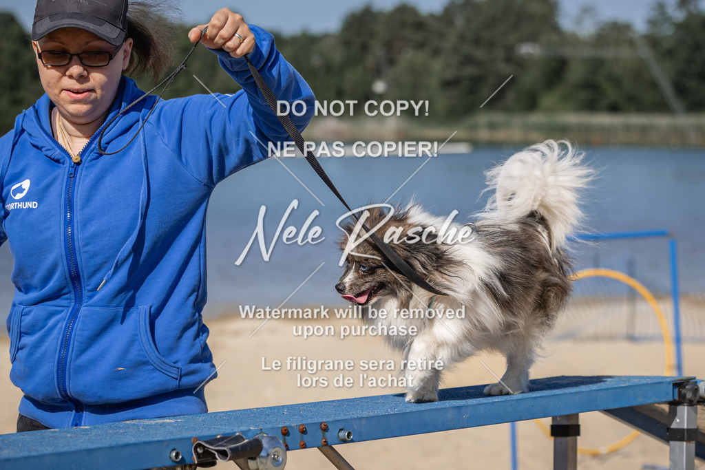 nelerasche_saBeachility_17 | nelerasche