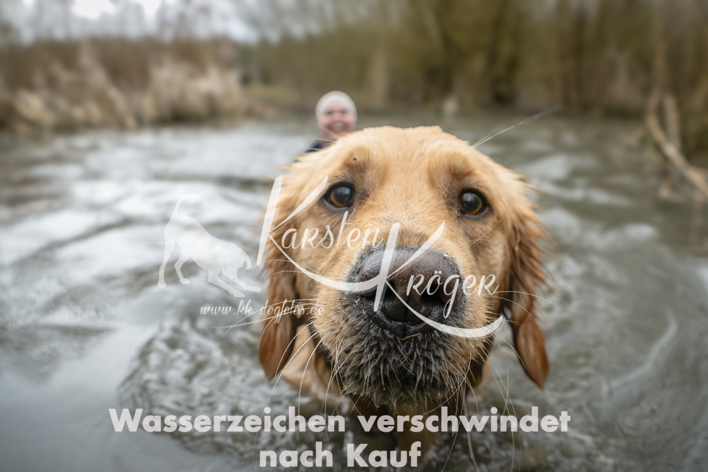 1000_ZZ94722-Bearbeitet | kk-dogfotos