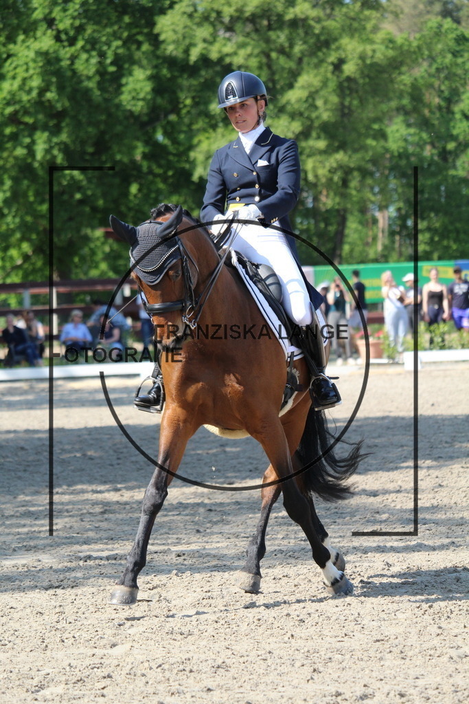 IMG_5264 | franziskalange - Realisiert mit Pictrs.com