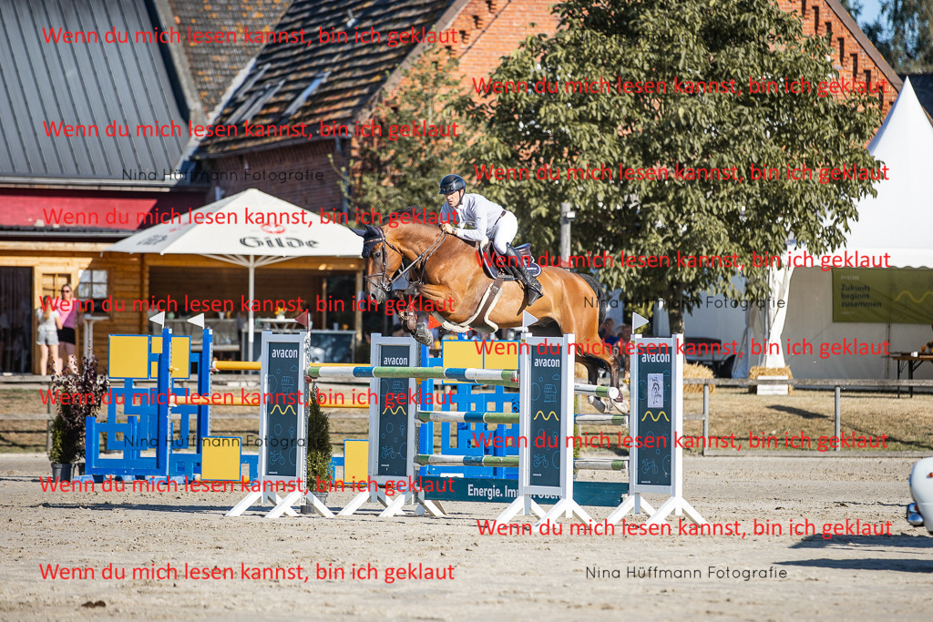 BK1A8648 | Turnierbilder Turnierfotos Nina Hüffmann Turnierfotografie Pferdefotografie Tierzeichnung Haustierzeichnung Pferdezeichnung Hundezeichnung Videograf  - Realisiert mit Pictrs.com