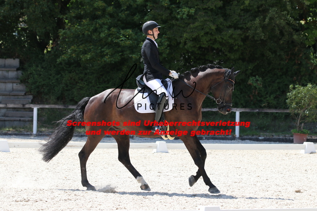 IMG_5064 | lmwpictures - Realisiert mit Pictrs.com