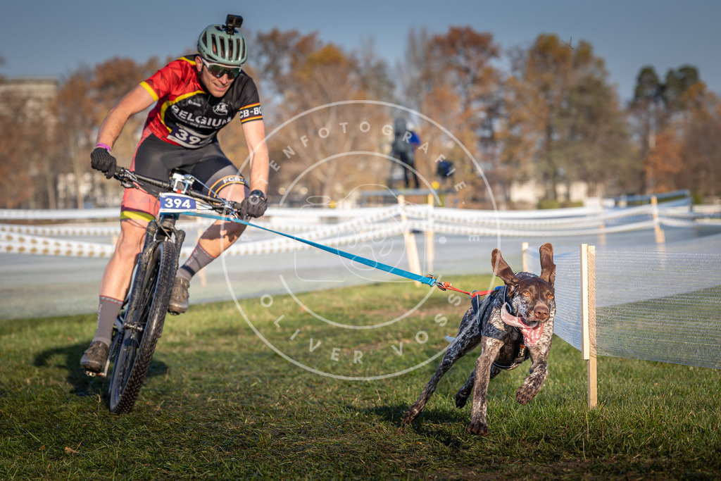 CaniXpix_0L8A3885 | Hundefotografie, Tierfotograf, Pfotenfotografie, Fotoshooting Hund, Hunde Portrait, Hundesport, Hundeportraits, Heideshooting, Hunde, Sportfotograf, Hundefotograf, Turnierhundsport, THS,  - Realisiert mit Pictrs.com