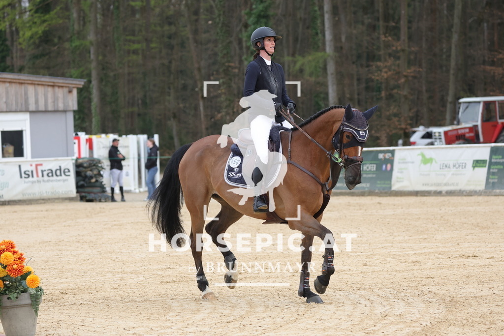 0P6A7668 | Willkommen bei Brunnmayr - Design & Fotografie – Ihrem Spezialisten für Reitturniere und Pferdeveranstaltungen in Oberösterreich, Salzburg und Bayern! Seit über 17 Jahren sind wir leidenschaftlich dabei.