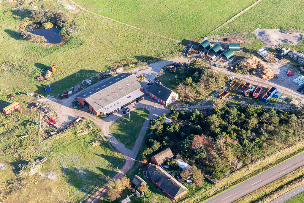 Aerial view: Farm shop / Gardbutik Byens Grønning in Fanø in the state South Denmark, Denmark.Photo: IMG_118823.jpg taken on 09/21/2019 by Werner Riehm/FLY-FOTO.comResolution of the original: 5472 x 3648 px