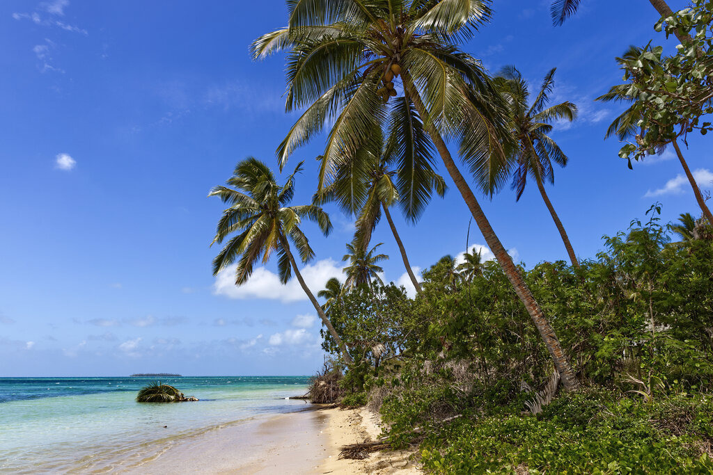 1H5A4321a | ansichtssache