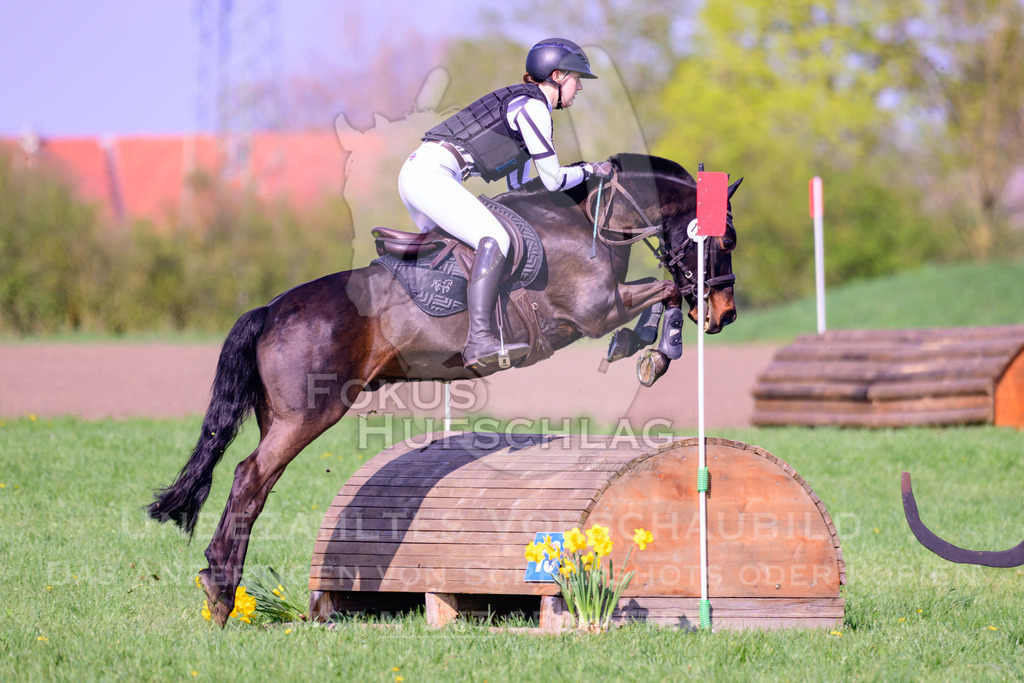 18042026-Gernlinden-04-1-0822 | Fokus Hufschlag Fotografie - Realisiert mit Pictrs.com