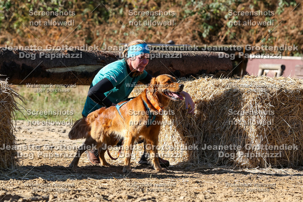 Dog Paparazzi - Strongdog 10-25-2710 | Dog Paparazzi Jeanette Grottendiek Fotografie & Videografie - Realisiert mit Pictrs.com