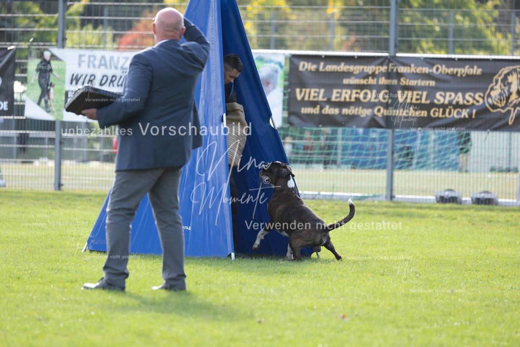 _16A6482 | Einzigartige Fotos von Hunden & Menschen –Actionfotos, Portraits, Vereinsaufnahmen & Paarshootings – authentisch, lebendig & mit Herz.