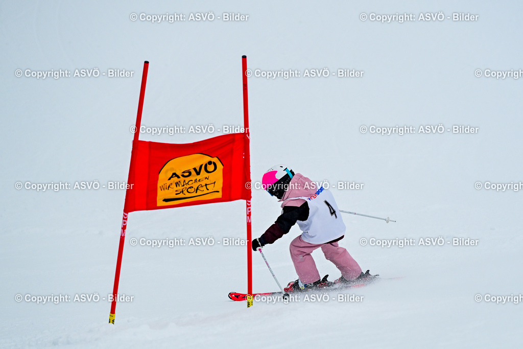 ASVÖ_ Skitrophy 2026_ 01.02.2026-76 | 01.02.2026, Gosau, AUT, ASVÖ, Skitrophy 2026 im Bild Teilnehmer©Harald Dostal / fodo.media - Realisiert mit Pictrs.com