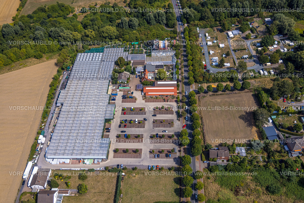 Hamm220809603Heessen | Luftbild, Gartencenter Bintig, Heessen, Hamm, Ruhrgebiet, Nordrhein-Westfalen, Deutschland