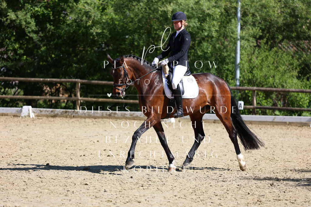 IMGT0314 | pl-fotografie