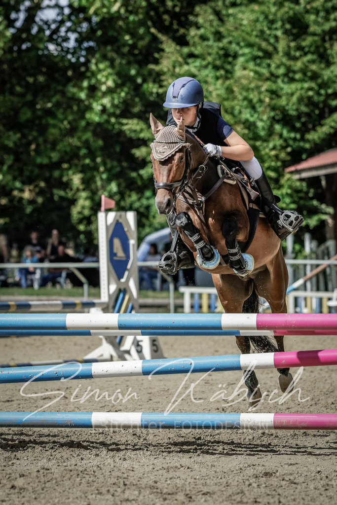 20250906-_3LI6499 | Tierfotografie Pferde, Hunde, Katzen, Haustiere.
Turnierfotografie Reitturniere, Reiten, Springreiten, Dressur in Hanau, dem Main-Kinzig-Kreis und dem Rhein-Main- Gebiet um Frankfurt