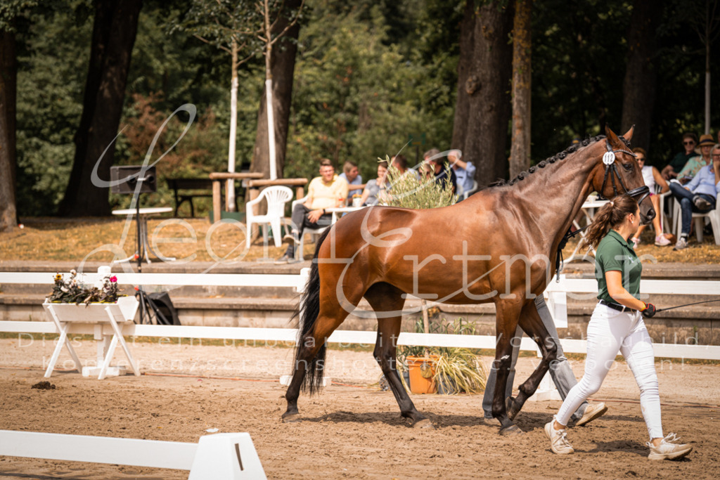 3.Fr00130 | Leoni Ertmer Photography - Realisiert mit Pictrs.com