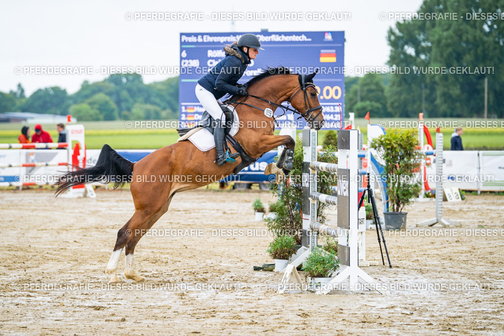 DSC03581 | Pferdegrafie