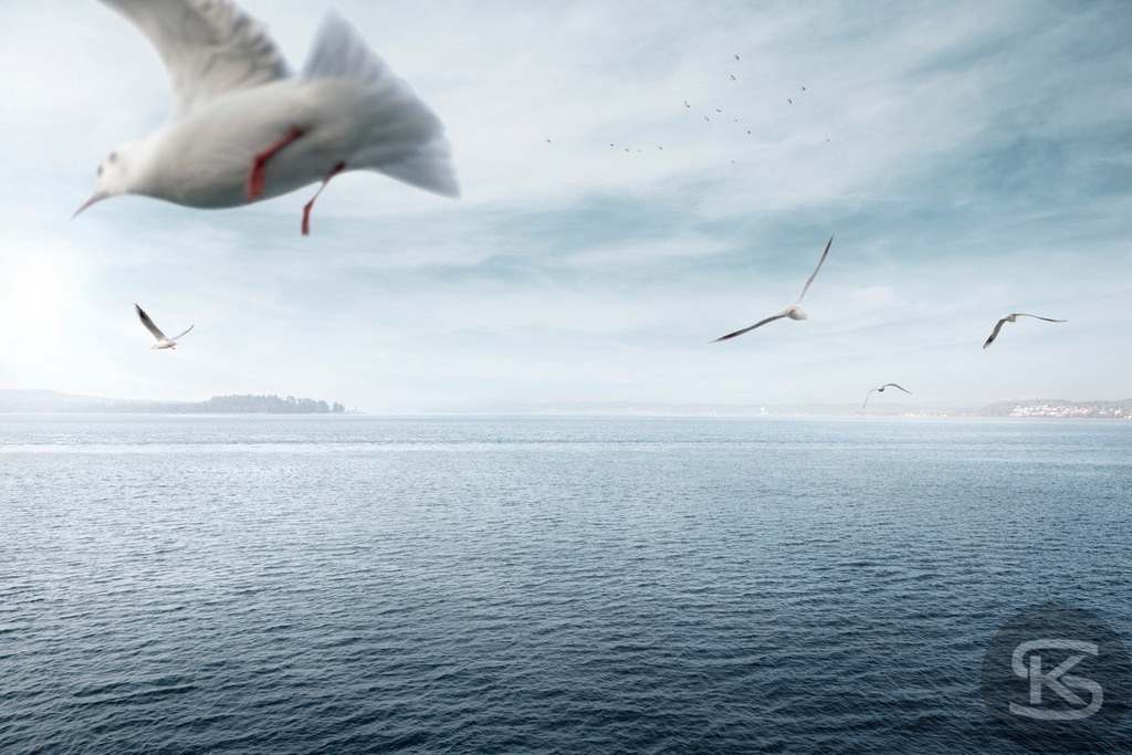 Bodenseebilder Galerie: Atemberaubende Fotos & Stimmungen | Entdecken Sie eine Sammlung stimmungsvoller Fotos vom Bodensee. Hochwertige Bilder von Sonnenauf- und -untergängen, Uferlandschaften, Booten und der Natur rund um den größten See Deutschlands. - Realisiert mit Pictrs.com