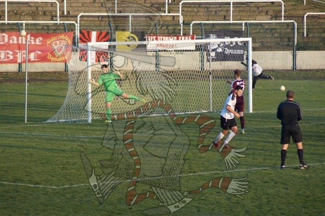 BFC Dynamo vs. FSV Budissa Bautzen 178 | mythos-online-redaktion
