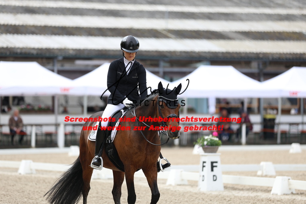 A40A0409 | lmwpictures - Realisiert mit Pictrs.com