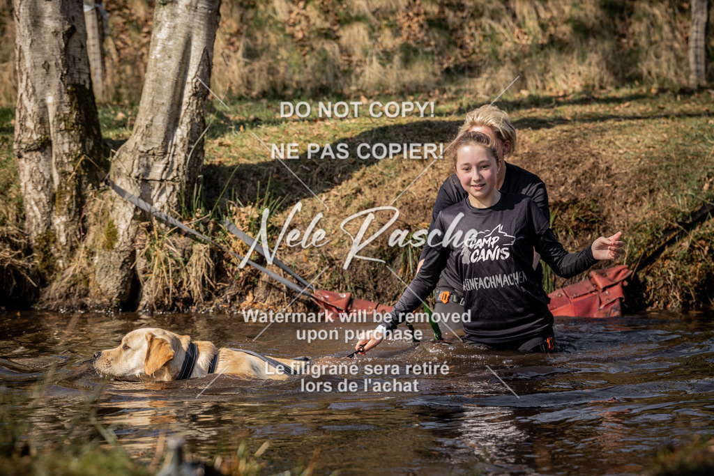 nelerasche_FS1300-1330_346 | nelerasche