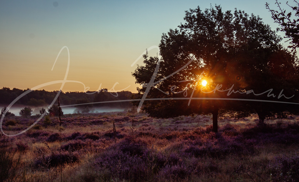 IMG_7437 | Landschaftsaufnahmen aus Deutschland. Sonne, Wasser, Wind und Wahrzeichen - Realisiert mit Pictrs.com