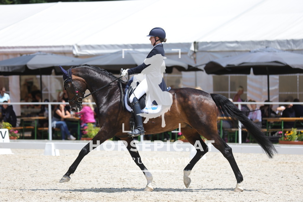 0P6A0471 | Willkommen bei Brunnmayr - Design & Fotografie – Ihrem Spezialisten für Reitturniere und Pferdeveranstaltungen in Oberösterreich, Salzburg und Bayern! Seit über 17 Jahren sind wir leidenschaftlich dabei.
