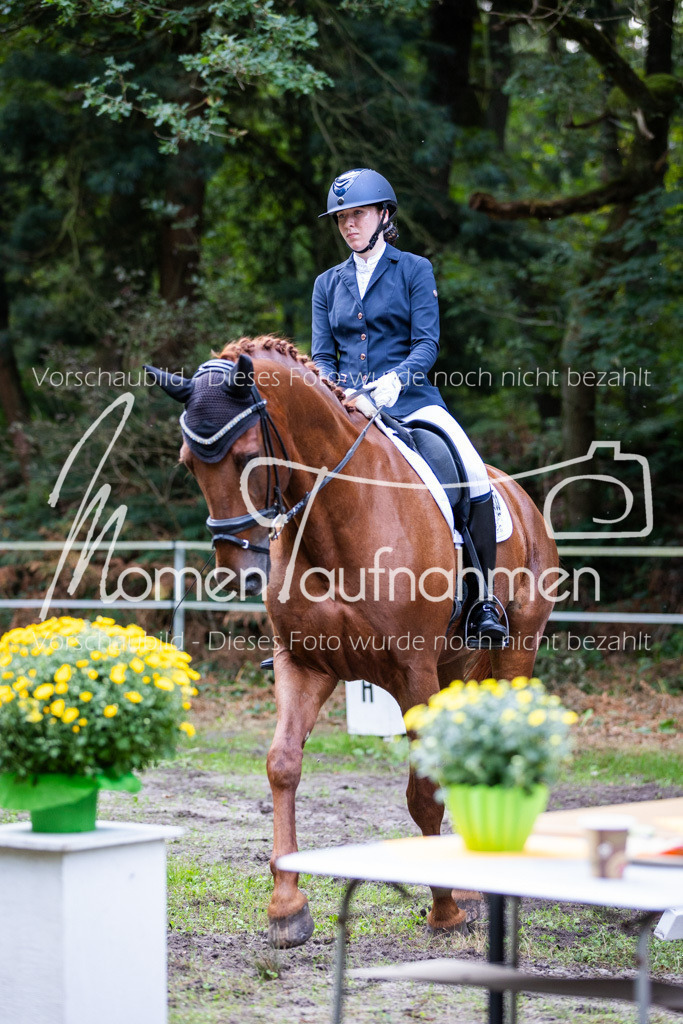 HB-A-Dressur-040 | MomenTaufnahmen Pferdesportfotos