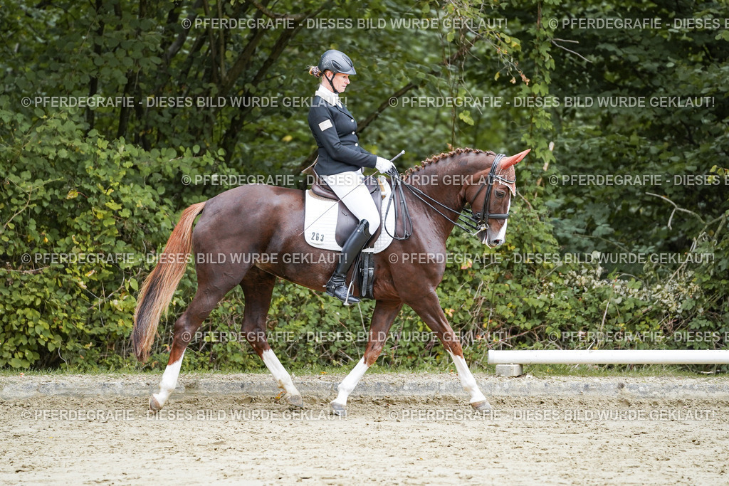 DSC09797 | Pferdegrafie