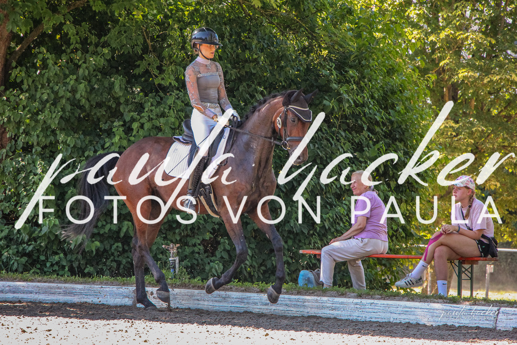 IMG_9974 | Erleben Sie dynamische Sport- und emotionale Tierfotografie in Süddeutschland mit Fotos von Paula. Spezialisiert auf Pferde- und Hundefotografie sowie Sportevents. Kontaktieren Sie mich für einzigartige und ausdrucksstarke Bilder Ihrer besonderen Momente. - Realisiert mit Pictrs.com