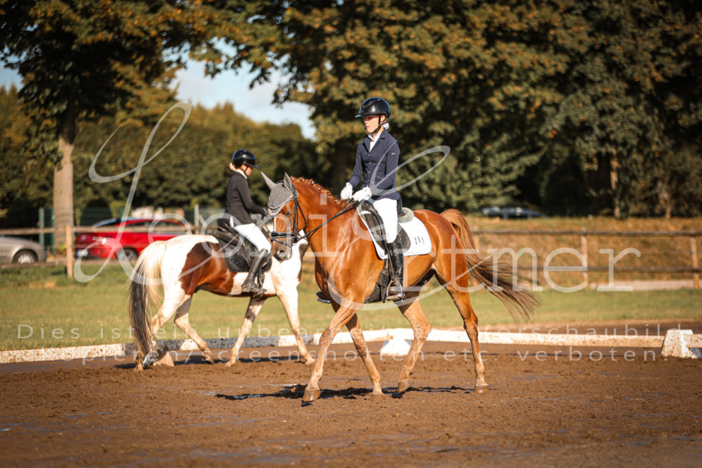 13.SoDrA100403 | Leoni Ertmer Photography - Realisiert mit Pictrs.com