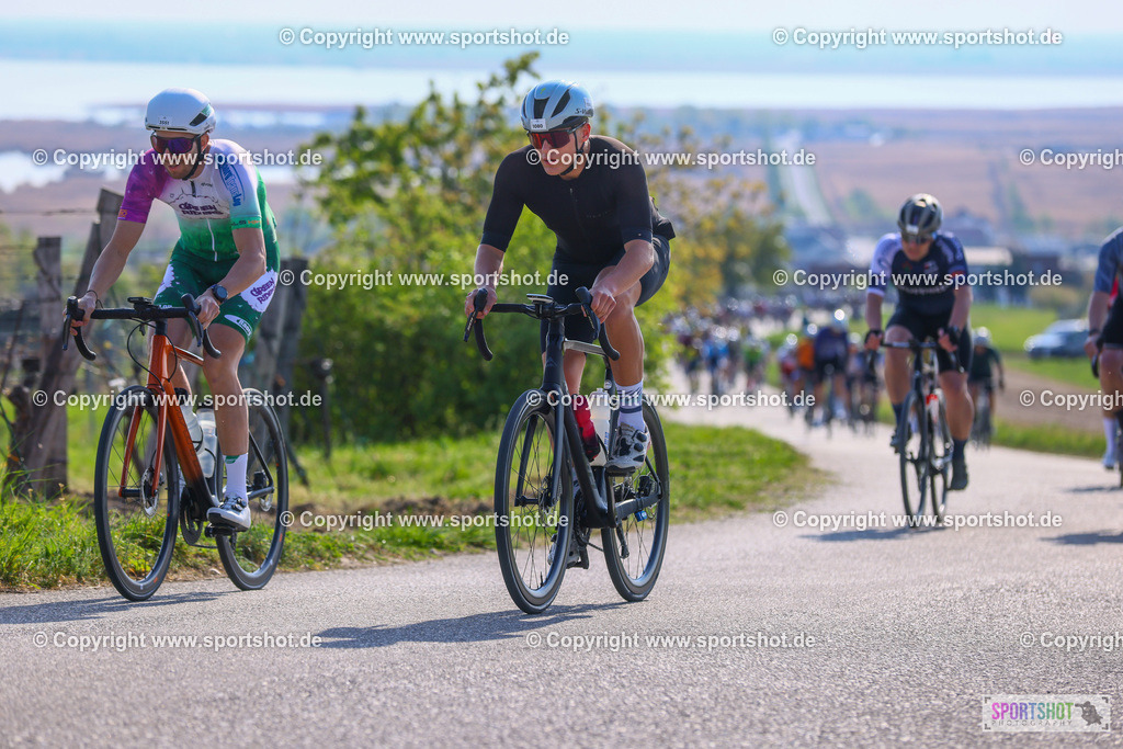 TRA_0481 | Neusiedlersee Radmarathon 2026@sportshot_your_pictrs #yourpictures#roadtowm2029 #nrm #neusiedlerseeradmarathon #neusiedlersee #neusiedlerseetourismus #burgenland #mörbisch #nrm26 #burgenlandtourismus #voglundco #poweredbyburgenlandtourismus #radsport #rad #marathon #ucigranfondo #visitburgenland #ucigranfondoworldseries