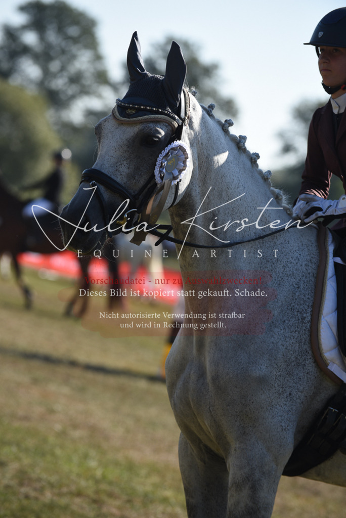 DSC_5444 | Pferde- und Turnierfotografie in Westsachsen. Pferdeportraits, Auftragszeichnungen und intuitive Kunst.