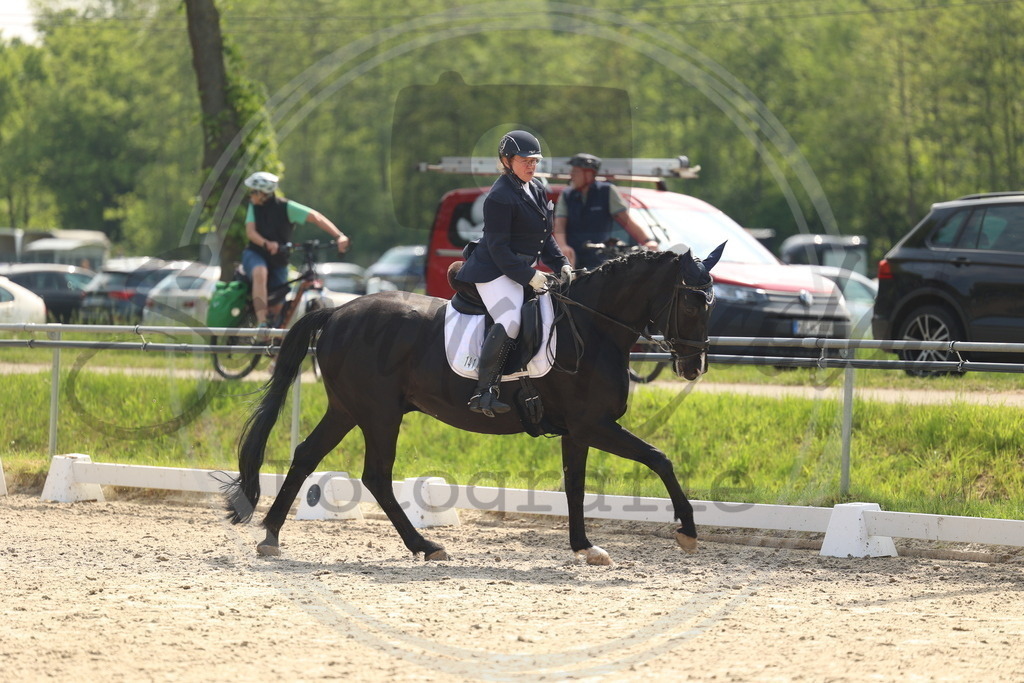 994A6646 | sabrinanicolaifotografie - Realisiert mit Pictrs.com