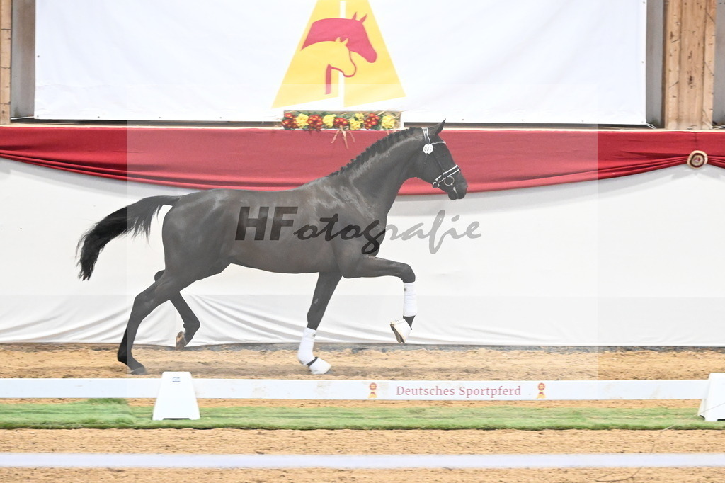 Kat.-Nr. 39 v. De Chirico_Schadock_3260296 | hf-fotografie - Realisiert mit Pictrs.com
