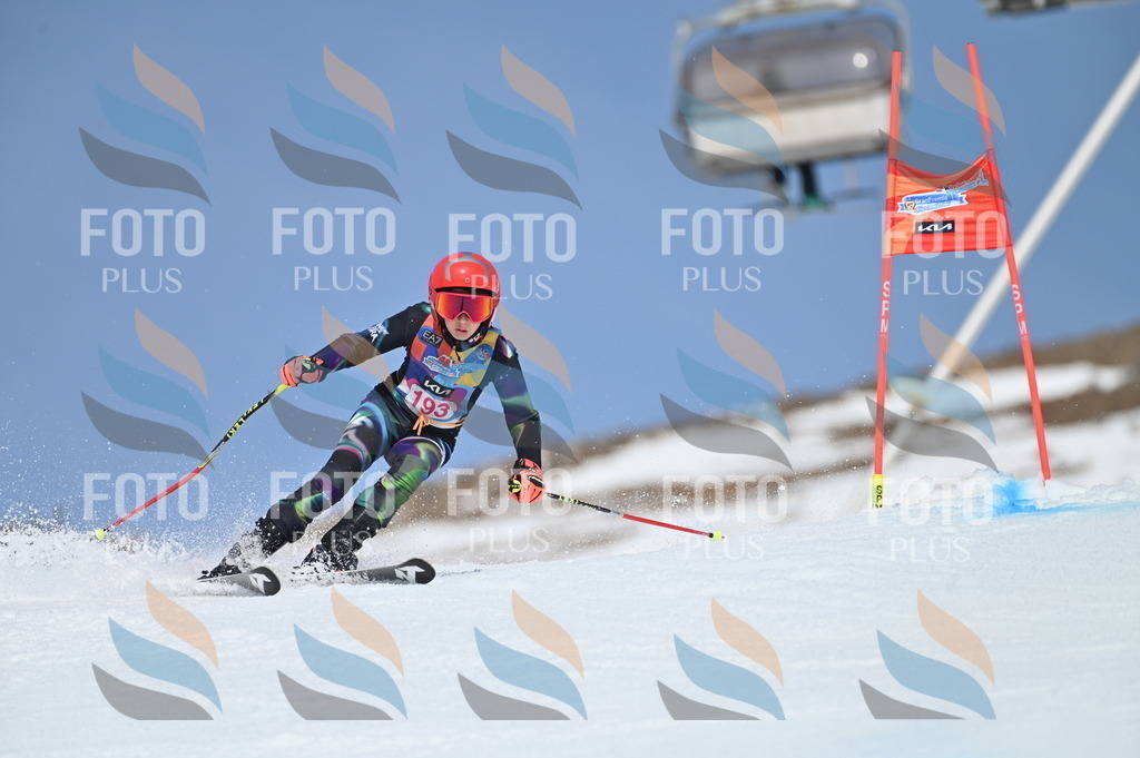 BGV_0855 | holidayphoto