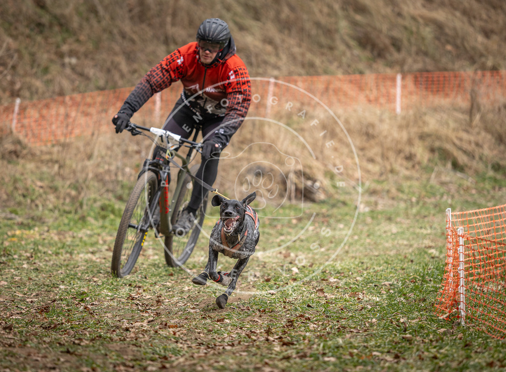 Pfotenfotografie_DV3A6739 | Hundefotografie, Tierfotograf, Pfotenfotografie, Fotoshooting Hund, Hunde Portrait, Hundesport, Hundeportraits, Heideshooting, Hunde, Sportfotograf, Hundefotograf, Turnierhundsport, THS,  - Realisiert mit Pictrs.com