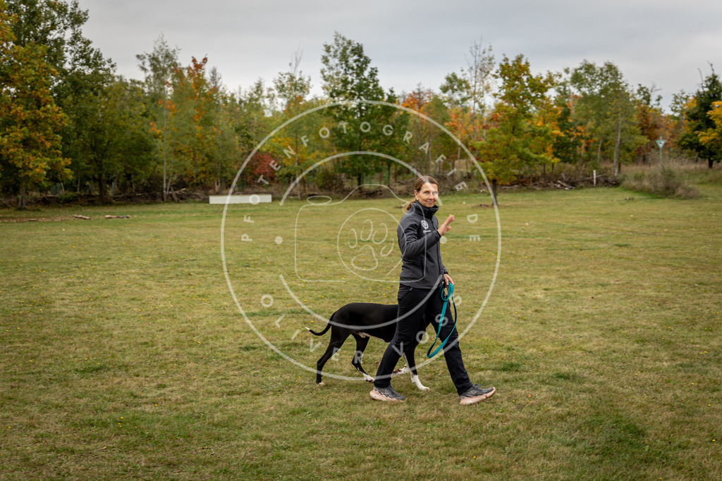Pfotenfotografie_0L8A0258 | Hundefotografie, Tierfotograf, Pfotenfotografie, Fotoshooting Hund, Hunde Portrait, Hundesport, Hundeportraits, Heideshooting, Hunde, Sportfotograf, Hundefotograf, Turnierhundsport, THS,  - Realisiert mit Pictrs.com