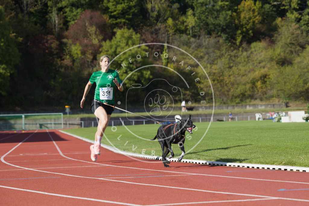 0L8A9550 | Hundefotografie, Tierfotograf, Pfotenfotografie, Fotoshooting Hund, Hunde Portrait, Hundesport, Hundeportraits, Heideshooting, Hunde, Sportfotograf, Hundefotograf, Turnierhundsport, THS,  - Realisiert mit Pictrs.com