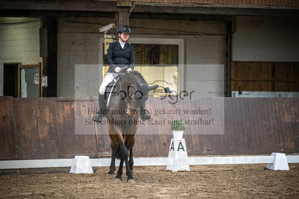 DOS_0875 | Entdecke hochwertige Reitturnierfotos von Foto Oger. Professionell, emotional und authentisch – jetzt Lieblingsmomente im Shop bestellen.Deutschlandweite Turnierfotografie. - Realisiert mit Pictrs.com