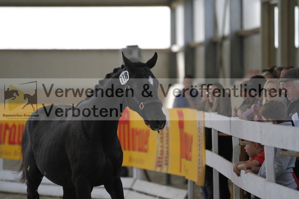_MG_9321 | equestrian-live-com