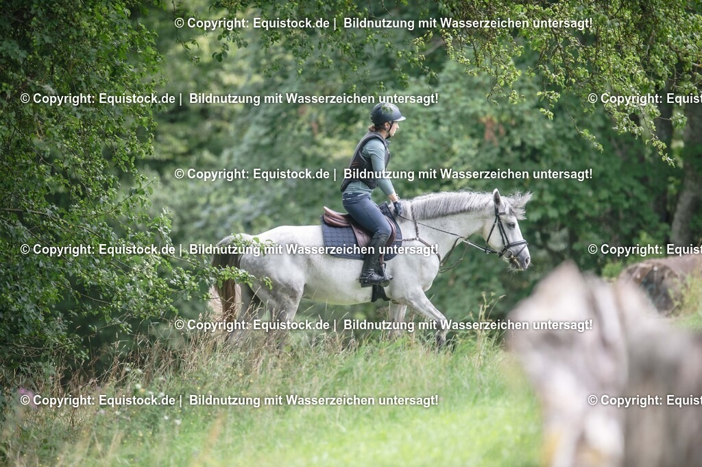 20250726_Vielseitigkeitslehrgang-Marbach_0558 | Foto: Thomas Hartig