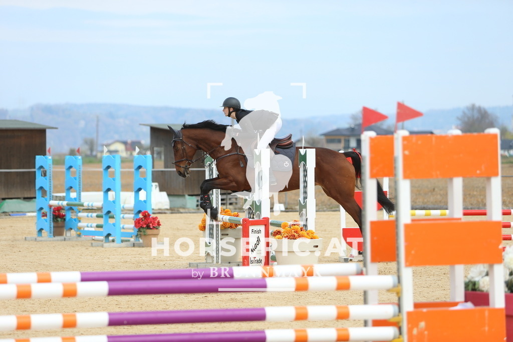 DL2Q2390 | Willkommen bei Brunnmayr - Design & Fotografie – Ihrem Spezialisten für Reitturniere und Pferdeveranstaltungen in Oberösterreich, Salzburg und Bayern! Seit über 17 Jahren sind wir leidenschaftlich dabei.