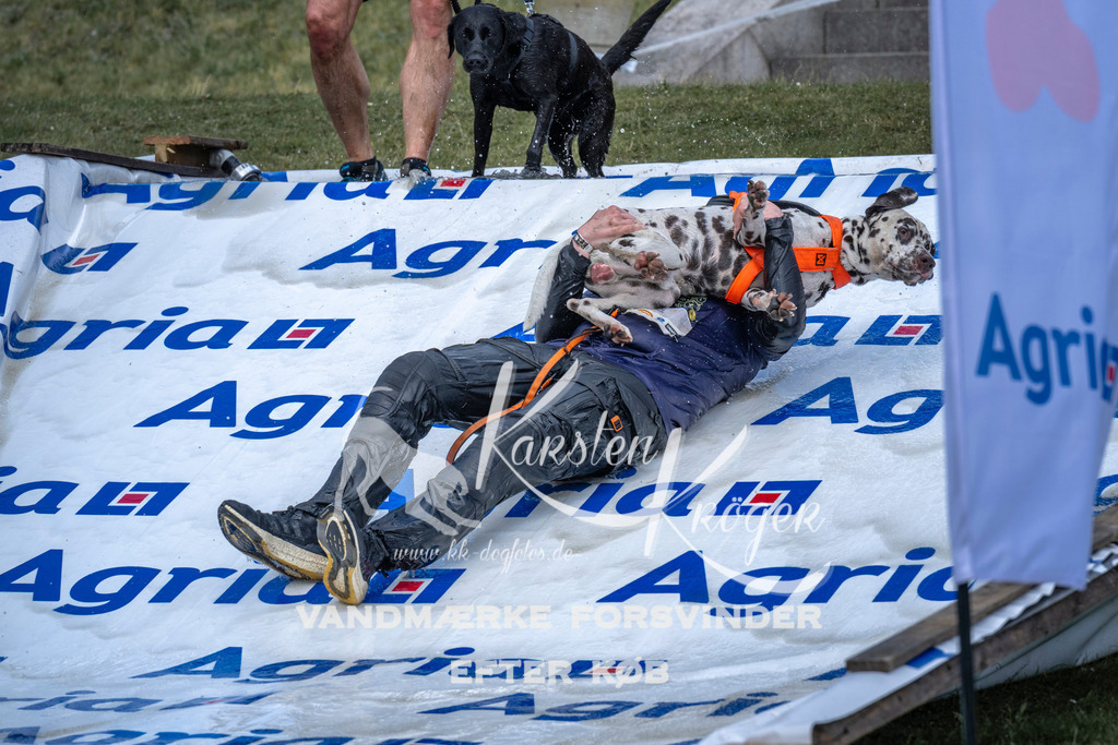 1107_ZZ91005 | kk-dogfotos